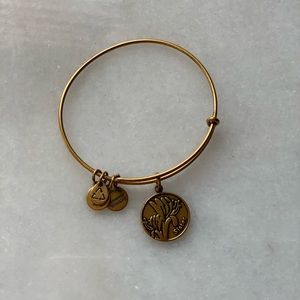 Alex & Ani bracelet